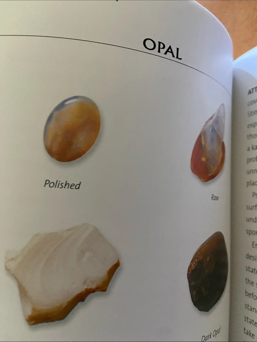 Penguin Random House comprehensive guide